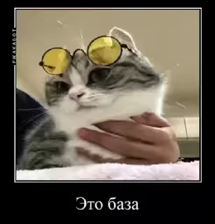 😎