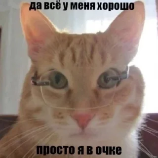 😶