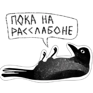 😴