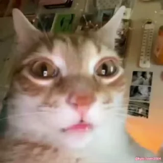 😳