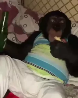 🍺
