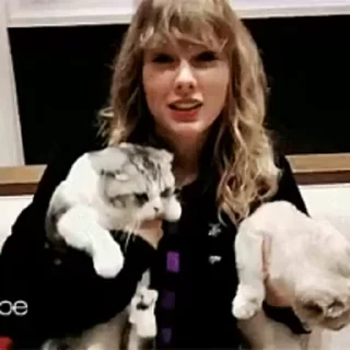 ✨