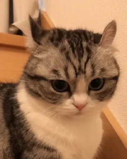 😒