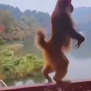 🏃