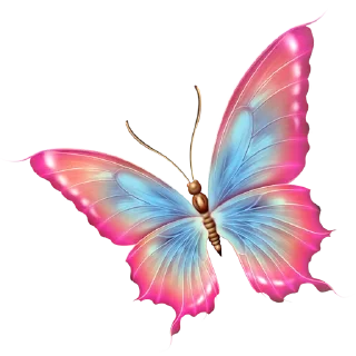 🦋