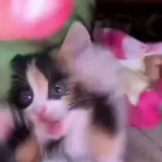 😧