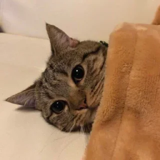 😍