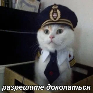 👮‍♀️