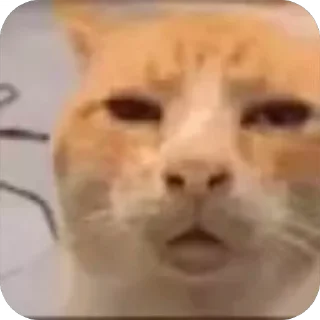 🤨