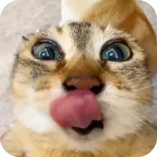 😜