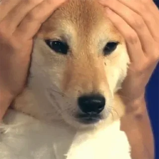 💓