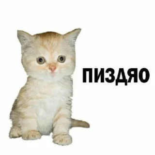 🤭