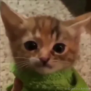 😱