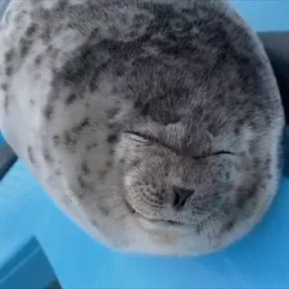 ☺️