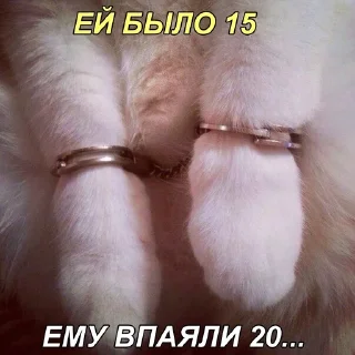 😮