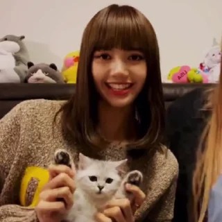 🤍