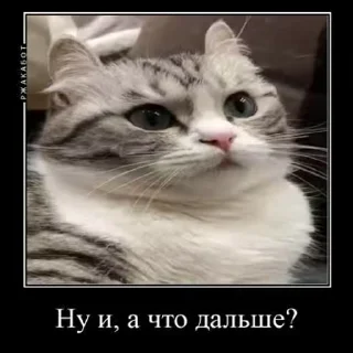 🙃