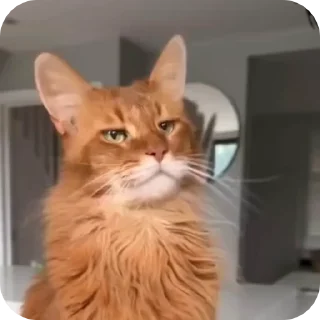 😏
