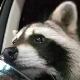 😢