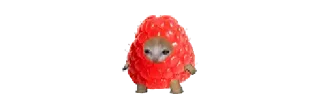 🍓