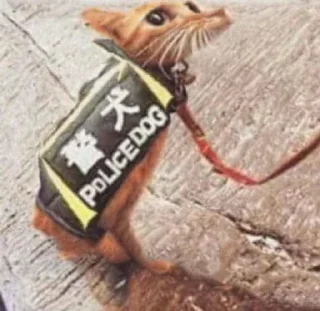 👮‍♀