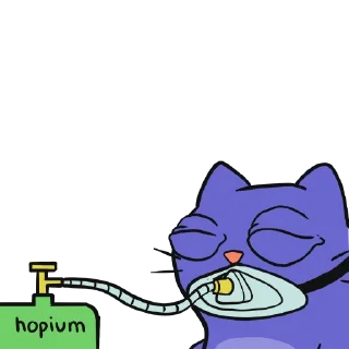 😷