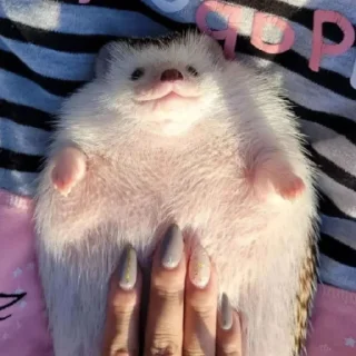 🙃