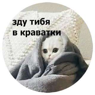 😴