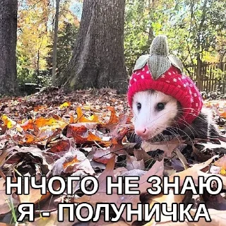 🍓