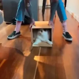🤬