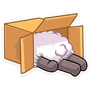 🙈
