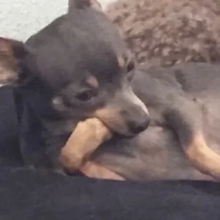😢