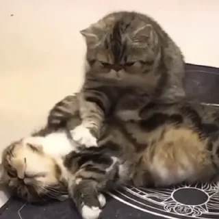 😧