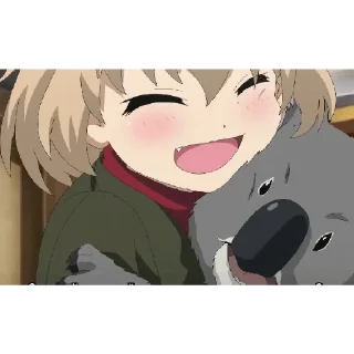 🐨