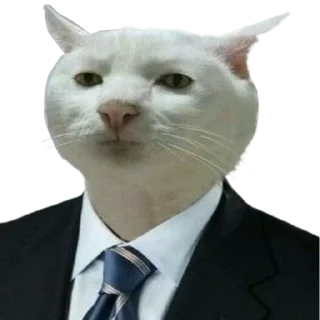 👨‍⚖️