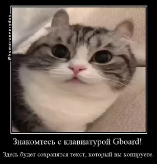 😒