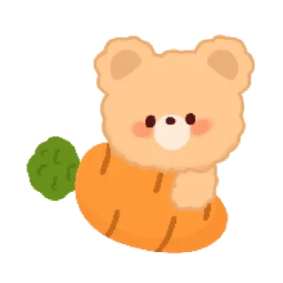 🐻