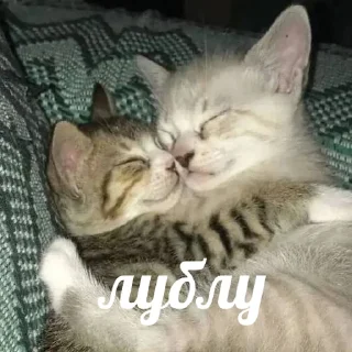 😘