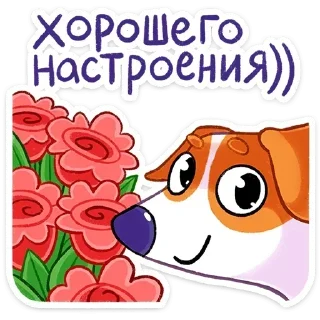 💐