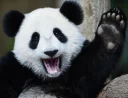 👋