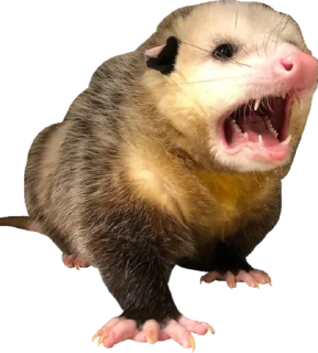 😮