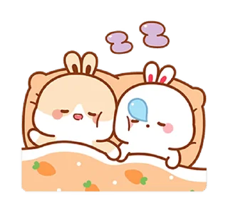 😴