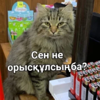 😒