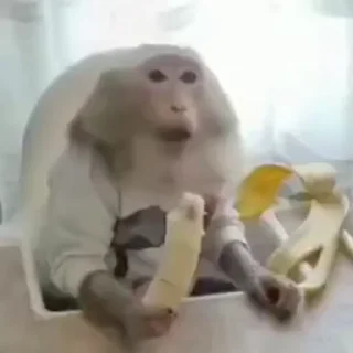 🤩