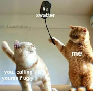 🐱