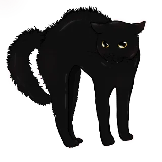 🐈‍⬛
