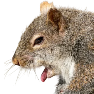 😛