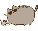 🐱