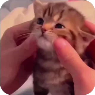 ☺️