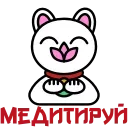 🙏